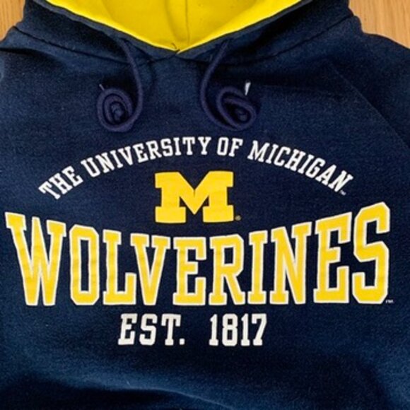michigan wolverines Hoodie Women’s Medium Pullover Sweater Blue Yellow Pro Edge - Picture 2 of 5